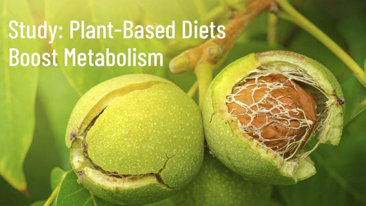 Study: Plant-Based Diets Boost Metabolism - Go Nuts !! Munch Right