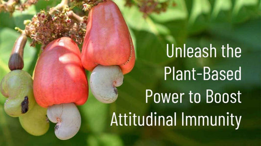 Unleash the Plant-Based Power to Boost Attitudinal Immunity - Go Nuts !! Munch Right