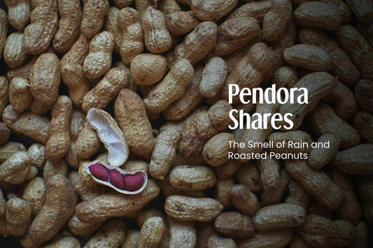Pendora Shares:  The Smell of Rain and Roasted Peanuts